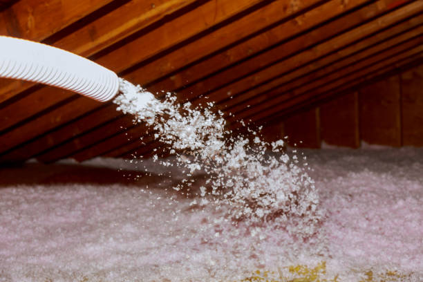 Best Insulation Maintenance and Repair in Springfield, FL