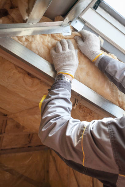 Best Insulation for Specific Applications in Springfield, FL