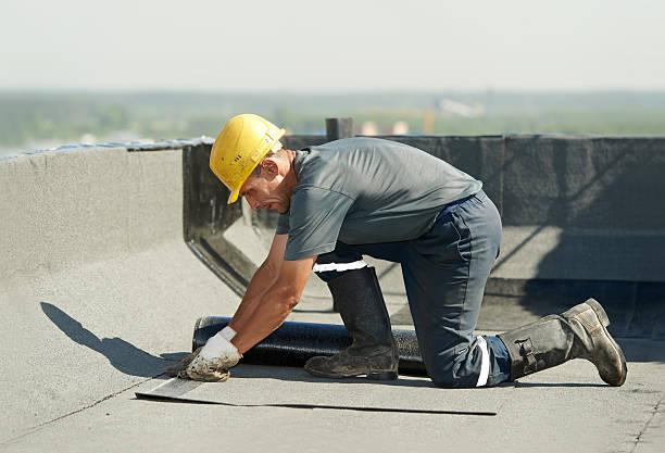Best Insulation Materials and Products in Springfield, FL