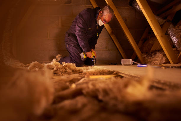 Best Insulation Installation Services in Springfield, FL