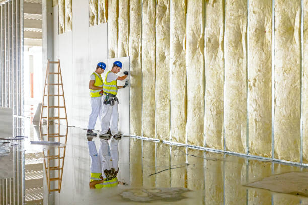 Best Types of Insulation in Springfield, FL
